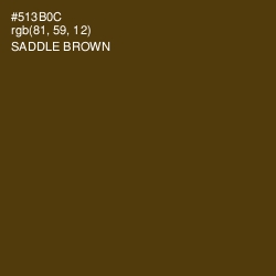 #513B0C - Saddle Brown Color Image